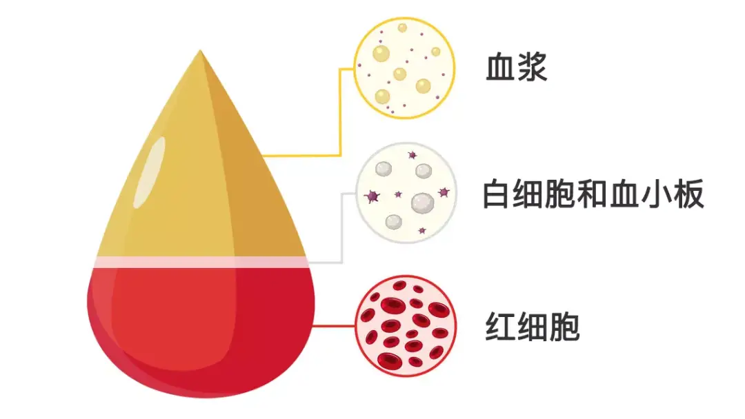 福建血液中心官网查询_福建省大自血回输价格表_福建省血液中心电话