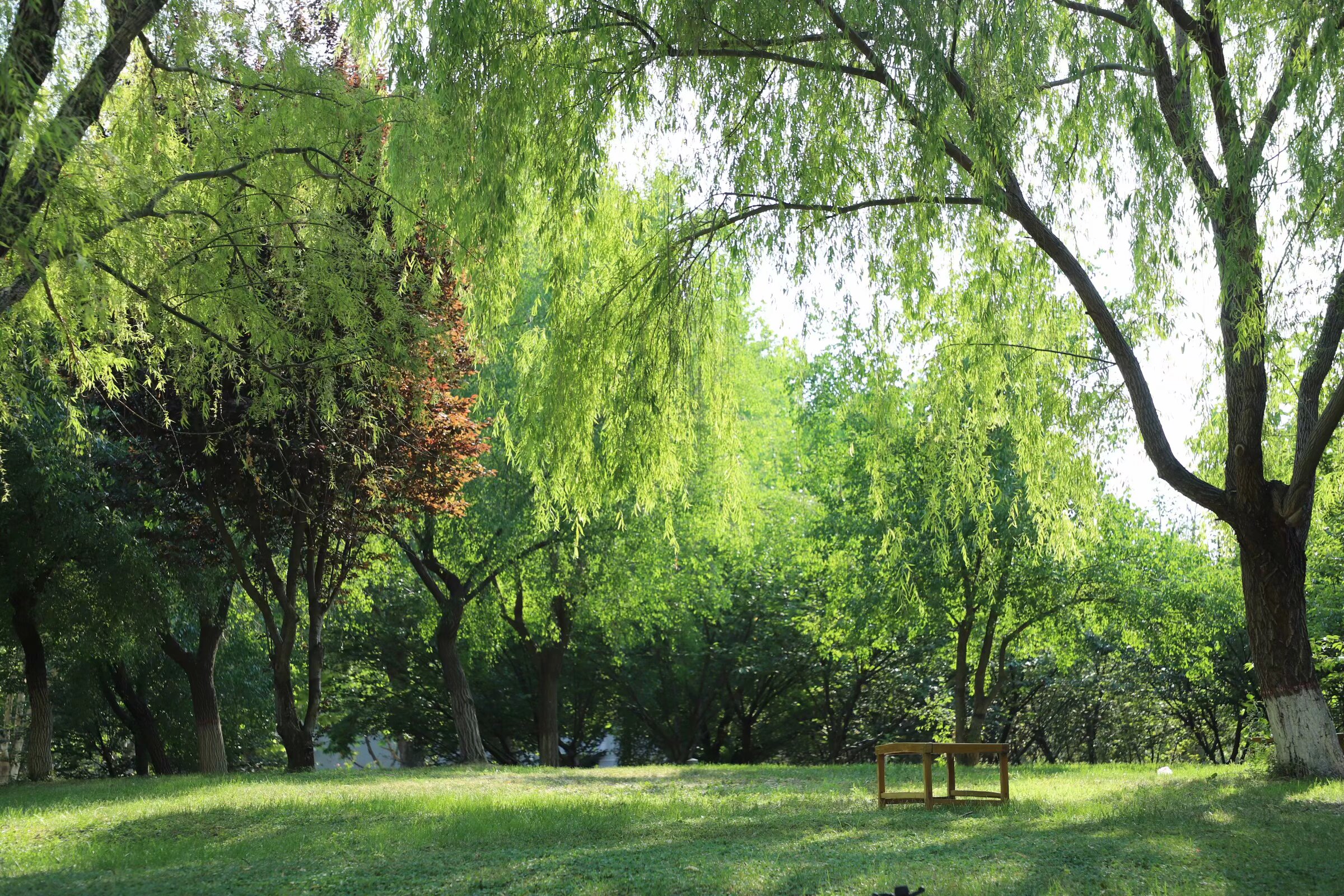 河北科技大学唐山分院电话_河北科技大学唐山分院 动画系_河北科技唐山校区位置