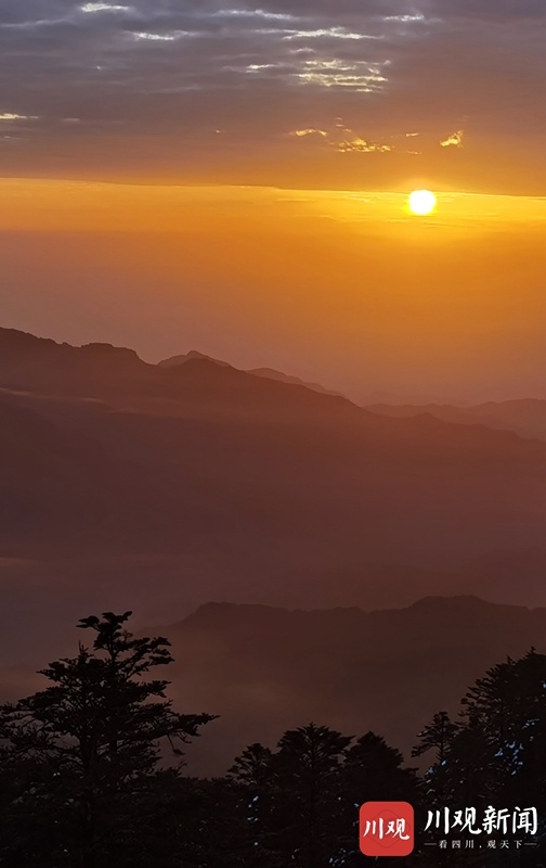 巅峰造型怎么样_巅峰特效_那里看白巅峰效果好