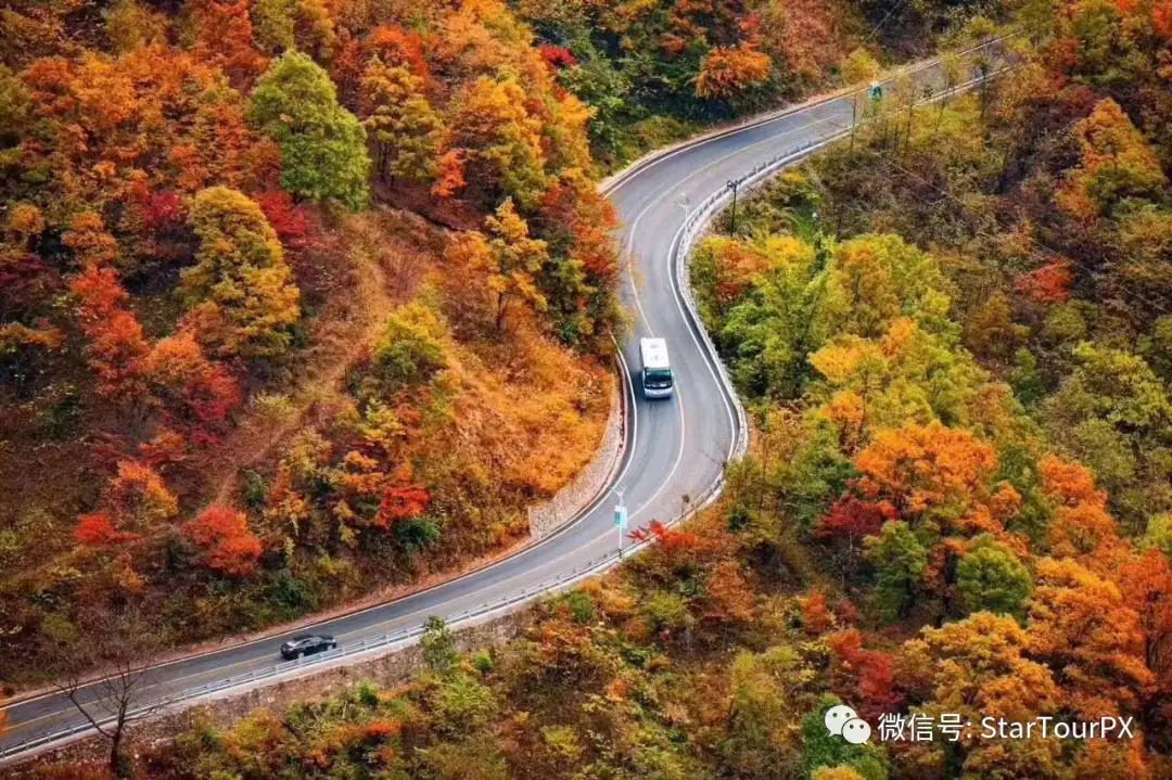 神龙架林区人民政府所在地_神龙架林区有钱吗_神龙架林区有老虎吗