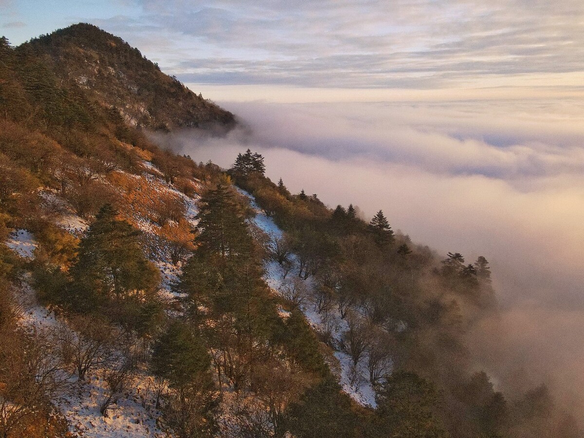 神龙架林区有钱吗_神龙架林区人民政府所在地_神龙架林区有老虎吗