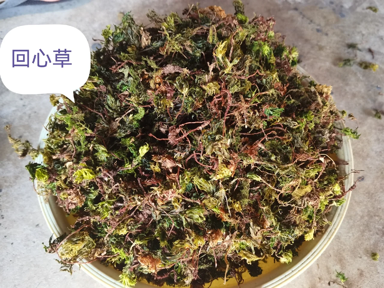 神龙架林区有老虎吗_神龙架林区有钱吗_神龙架林区人民政府所在地