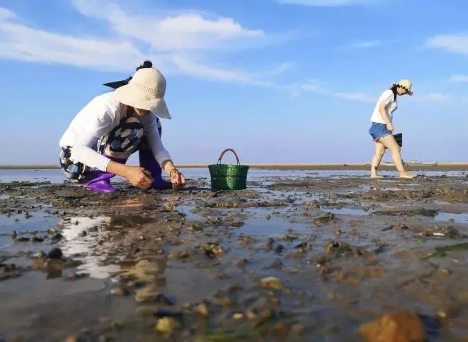 麻袋平台上征信吗_一麻袋支付_一麻袋e支付能个人