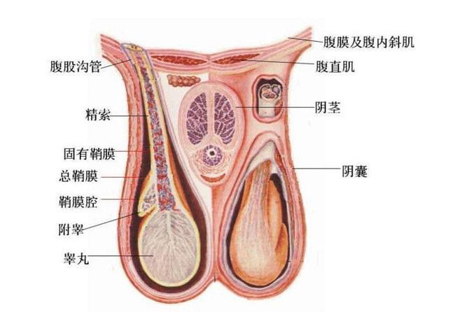 蛋蛋赚注销_蛋趣注销账号_蛋蛋赚绑定微信怎样取消