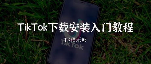 安卓系统如何安装tk,安卓系统下使用tk安装指南