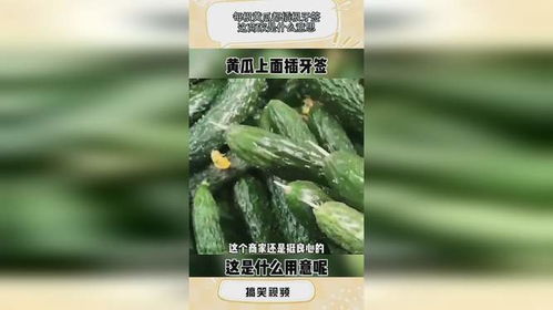 黄瓜小说 