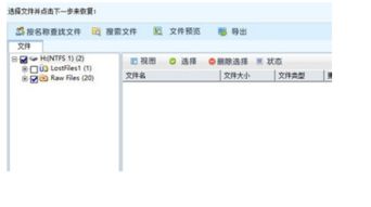 安卓系统  相册误删,找回丢失照片的实用方法