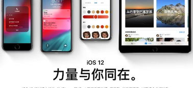 安卓和ios系统有什么不同,全面对比解析