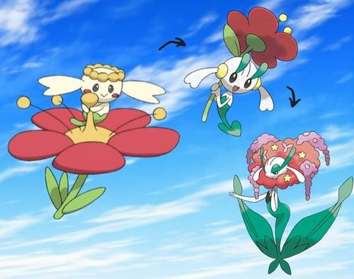 花蓓蓓
