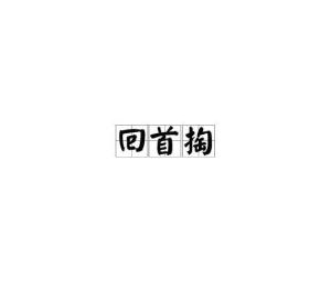 回首掏